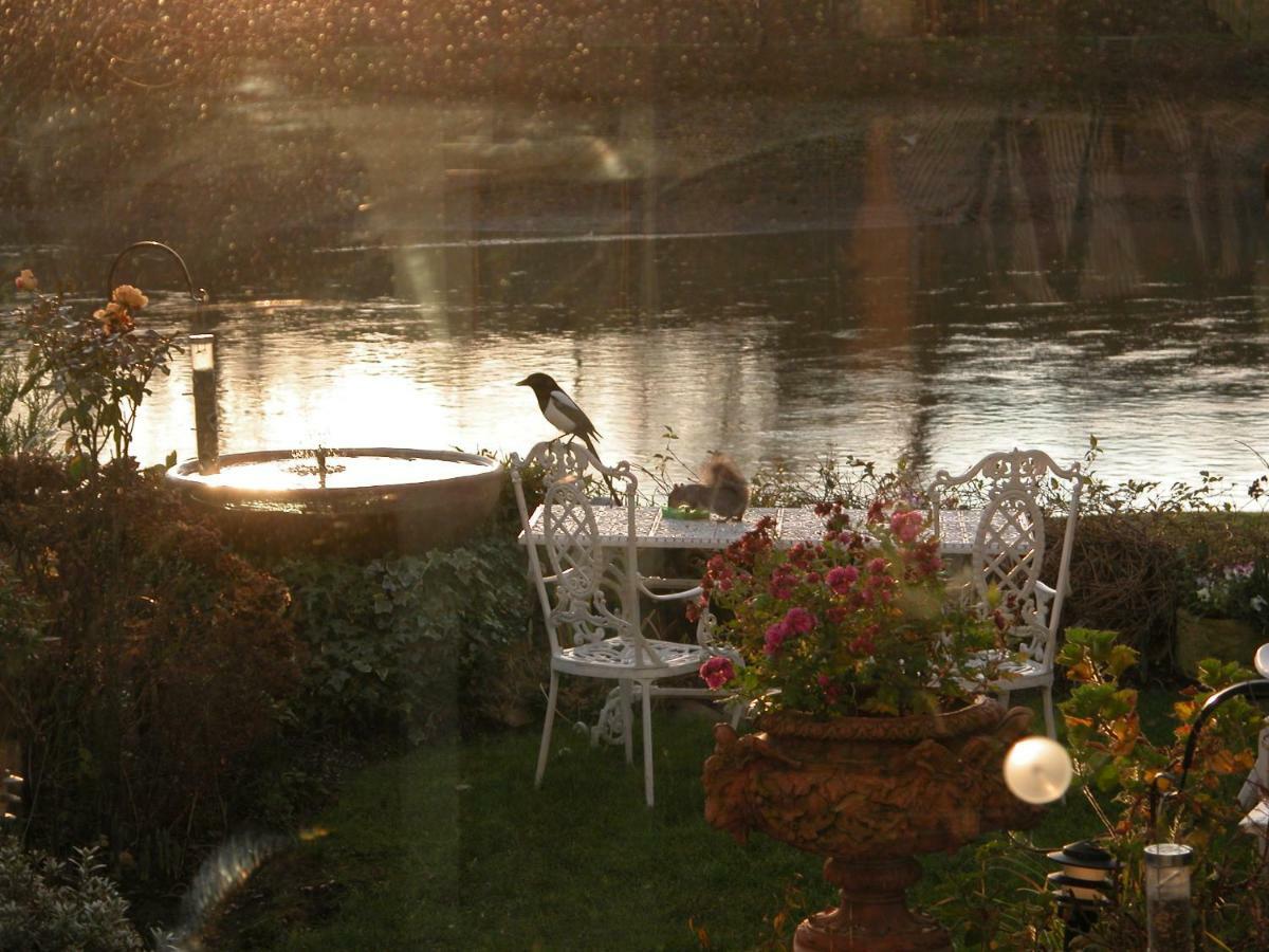 לינה וארוחת בוקר לונדון Chiswick Riviera With Free Parking מראה חיצוני תמונה